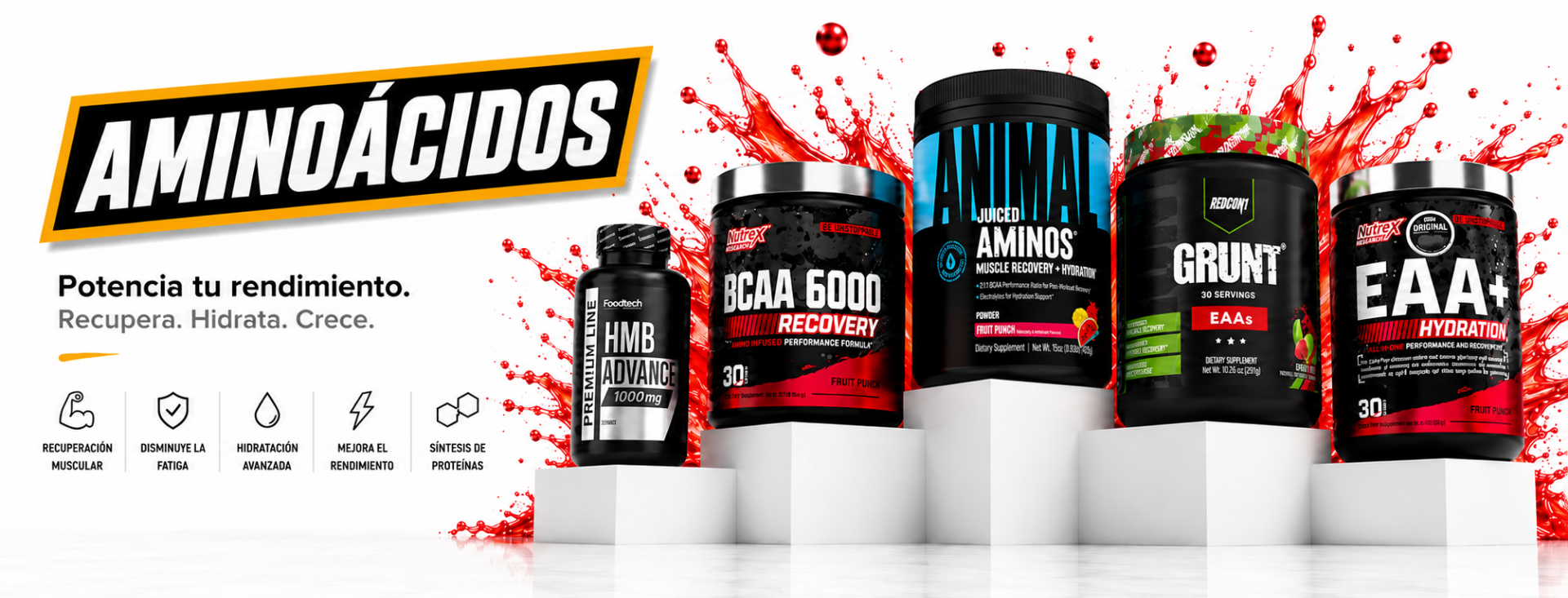 banner categoría aminoácidos