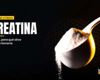 Creatina qué es para qué sirve y cómo tomarla - Bee Fitness